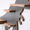 Dino, small - Tigerbox Touch